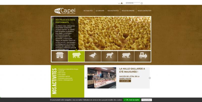 Site Internet - Capel